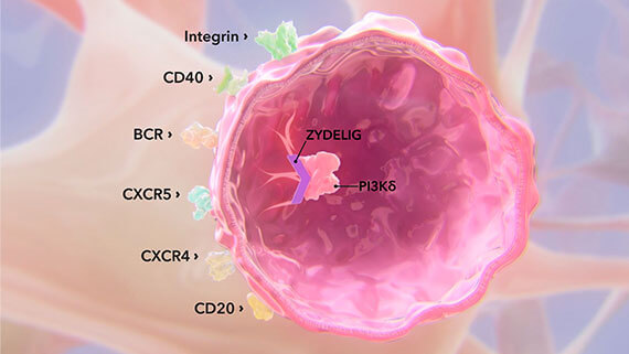 ZYDELIG® inhibits multiple signaling pathways.